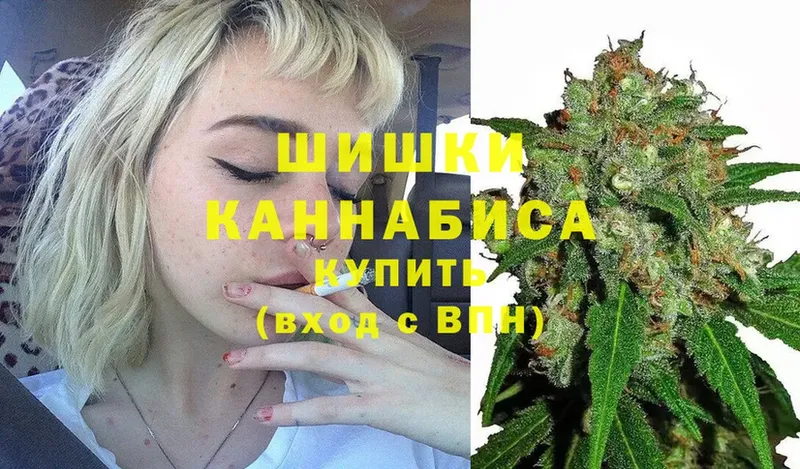 где купить наркотик  Ардатов  блэк спрут ССЫЛКА  Шишки марихуана OG Kush 